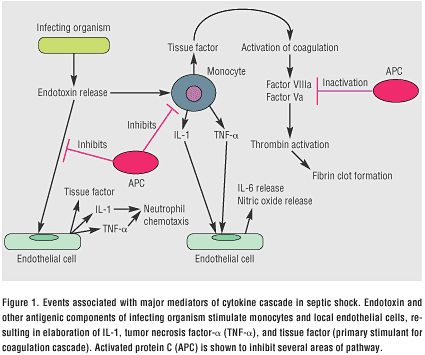 [Figure 1]